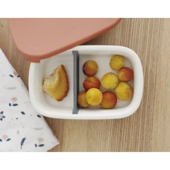 BÉABA Goûter Sain|Couverts Vaisselle Et Bavoirs*Boîte repas céramique Gris minéral/Terracotta Mineral/sgreen