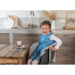 BÉABA Chaises Évolutives*Coussin d'assise Junior pour Chaise Haute Up and Down Gris Grey