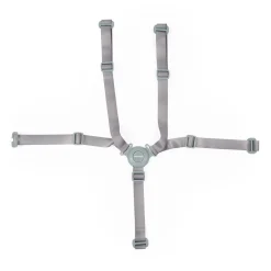 BÉABA Autres Pièces Détachées*Harnais 5-points Evolu - Menthe Anthracite