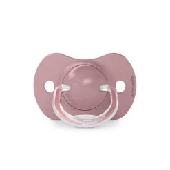 BÉABA Tétines, Sucettes Et Accessoires*Lot de 2 sucettes SX Pro +18m A walk in the park Green